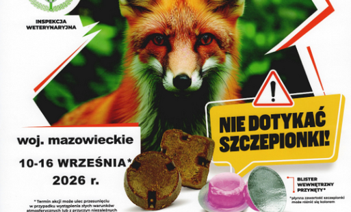 Zdjęcie do Szczepienie lis&oacute;w przeciwko wściekliźnie - 10-16 września 2026 r. 