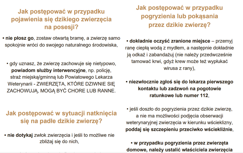 Wścieklizna u lisa w gminie Sarnaki – zgłaszaj padłe zwierzęta