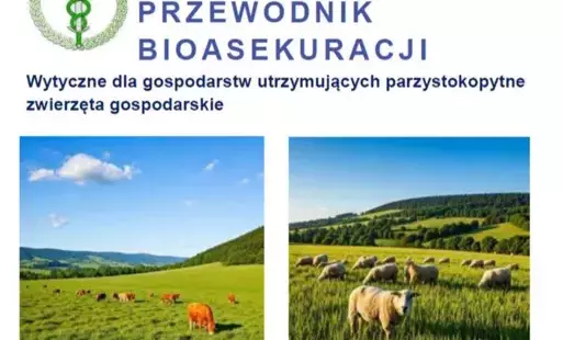 Wytyczne dla gospodarstw utrzymujących parzystokopytne  zwierzęta gospodarskie.